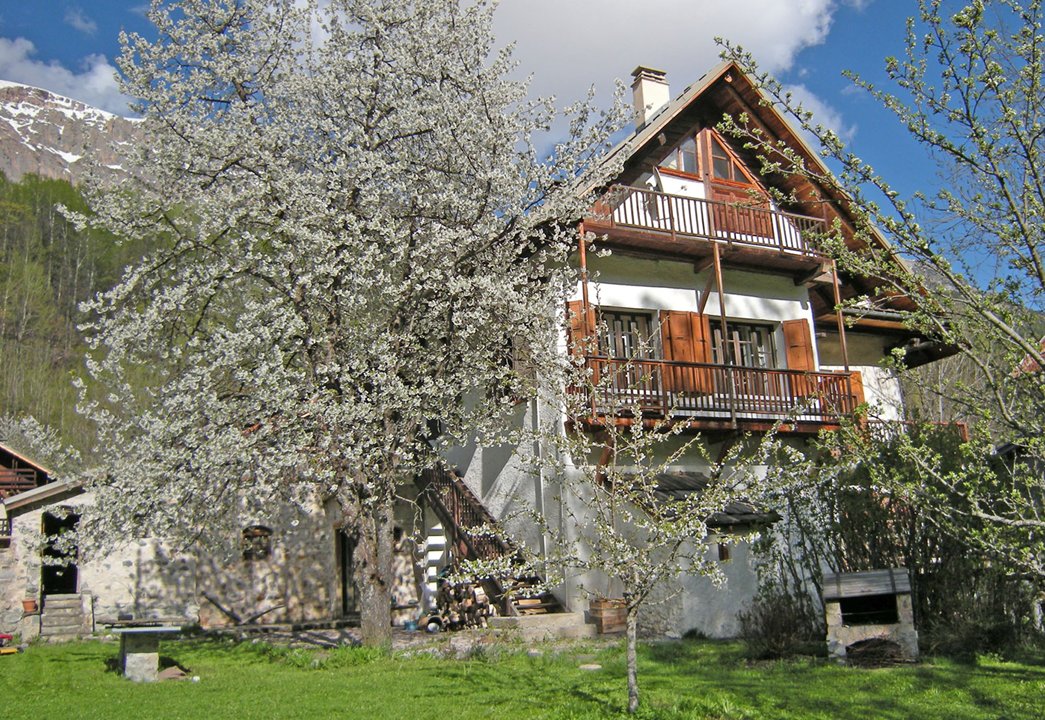Maison  (  )