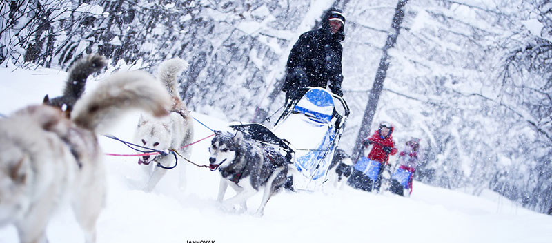 Bien choisir votre hébergement