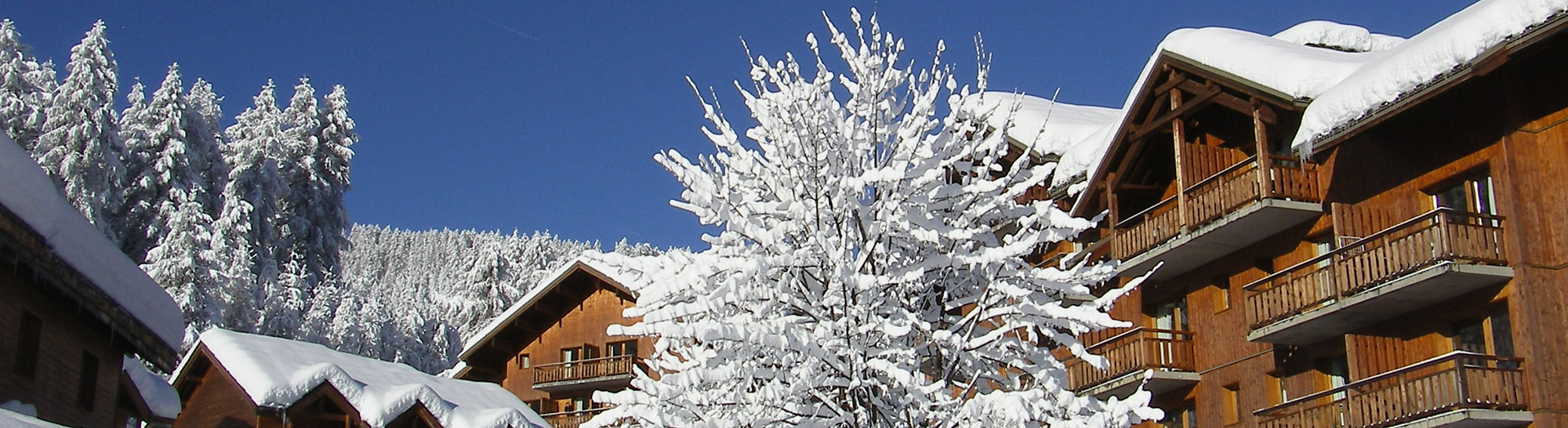 Gestion locative - Cimes & Neige